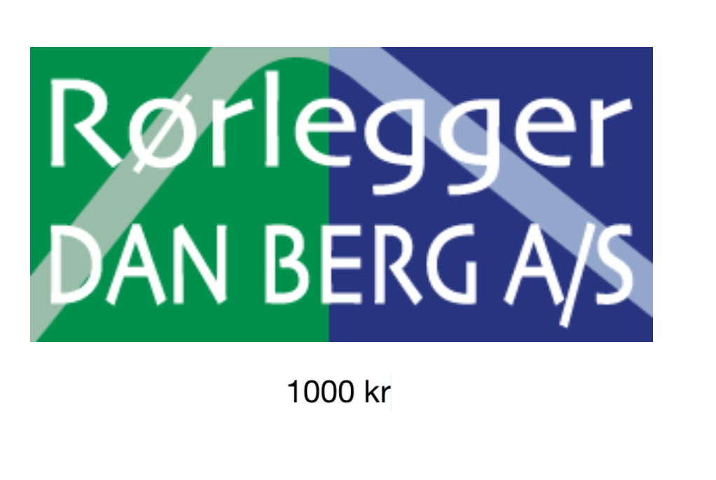 Rørlegger Dan Berg AS