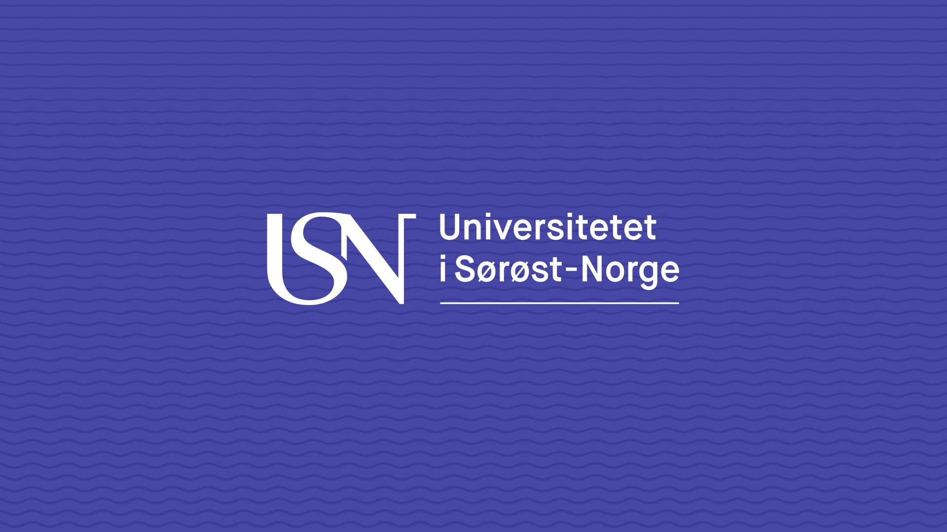 Universitetet i Sørøst-Norge